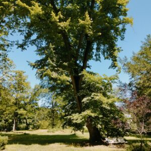 Les 13 vertus de Benjamin Franklin